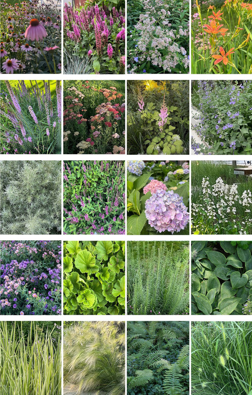 北京市三里屯西五街5号院花园丨中国北京丨OneScape一域景观事务所-200