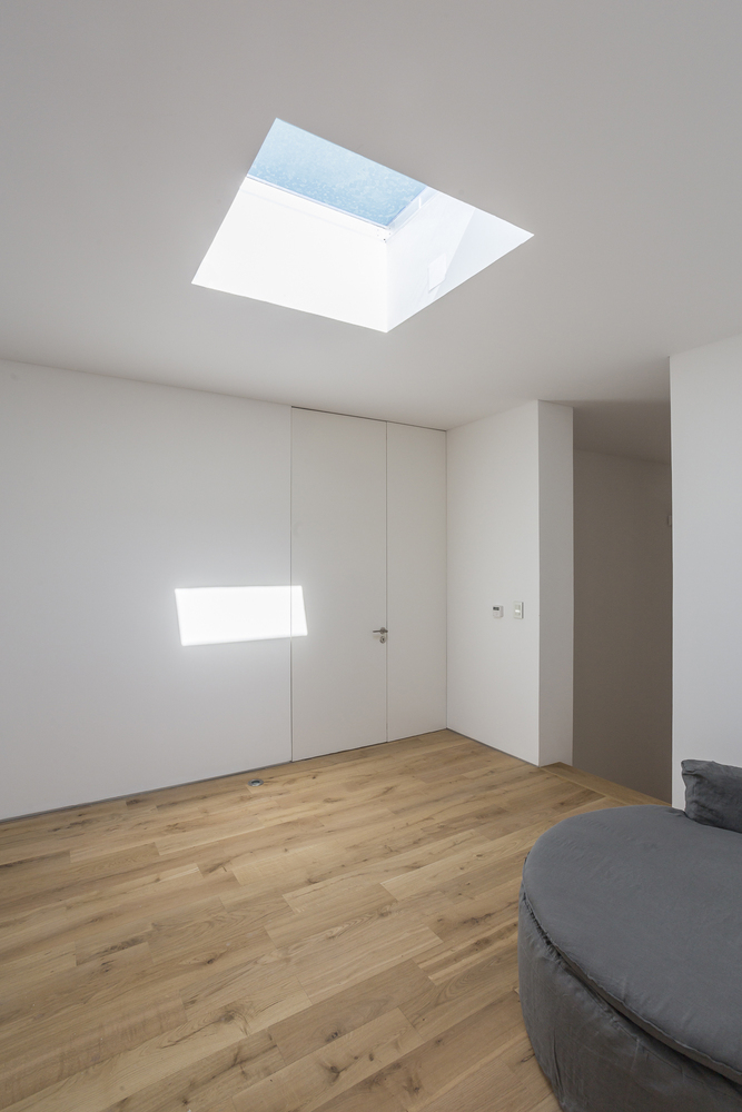 绿意盎然的新 Newman House-36