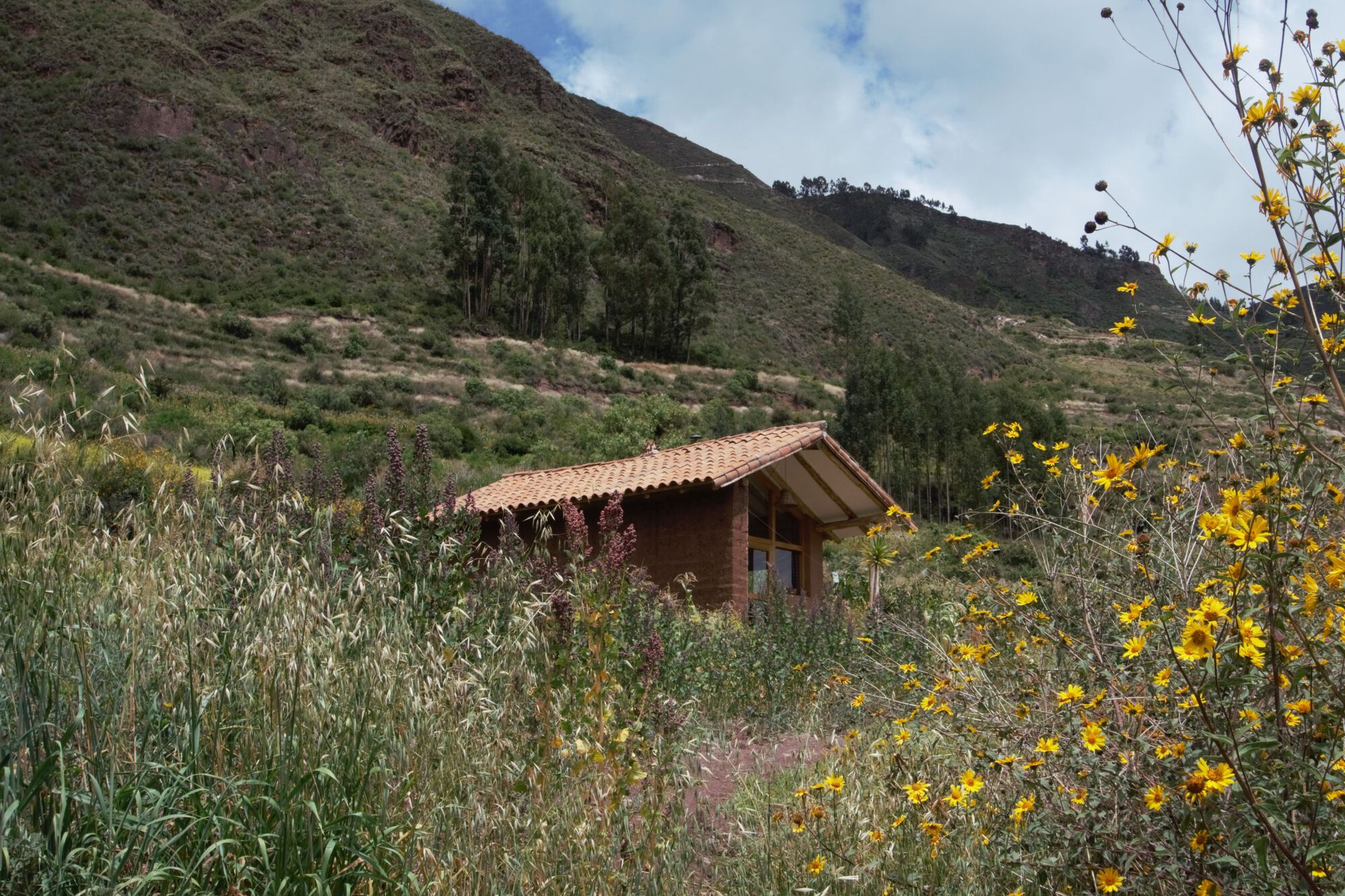 费利西亚纳小屋丨秘鲁丨Taller MACAA-35