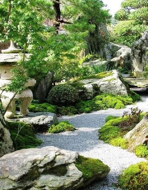 日式杂木庭院-10