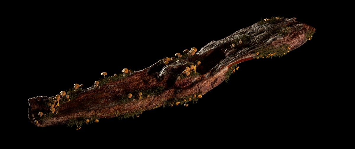 被征服的自然-6