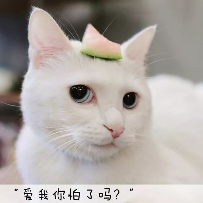 若是远行客，那便尽赏山间白月光——「了忘谷」民宿-193