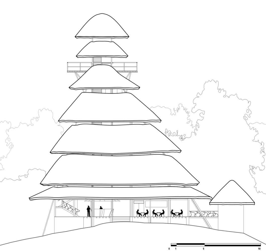 厄瓜多尔 Napo 本地动物中心塔-38