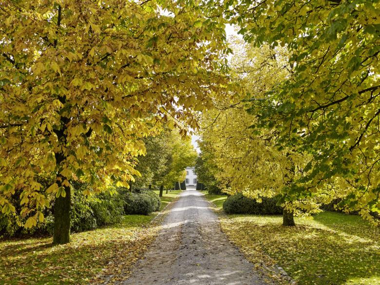 Geneva项目（未明确具体名称）-7