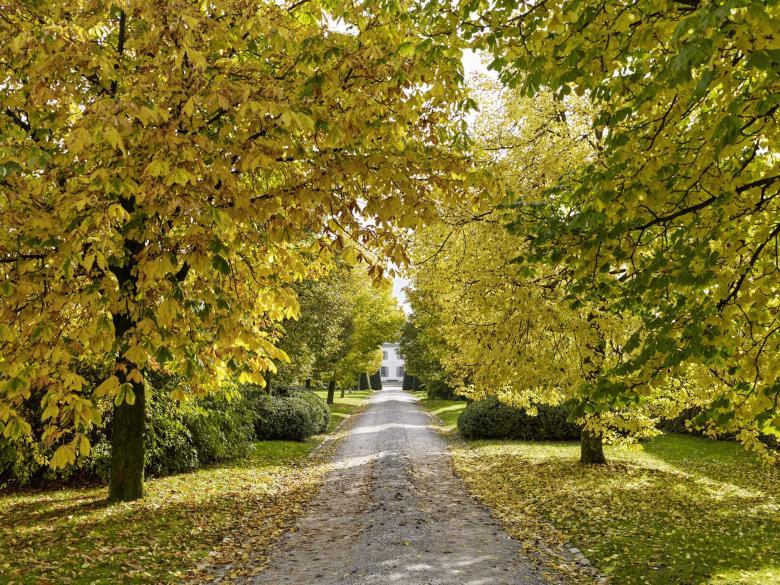 Geneva项目(未明确具体名称)-7