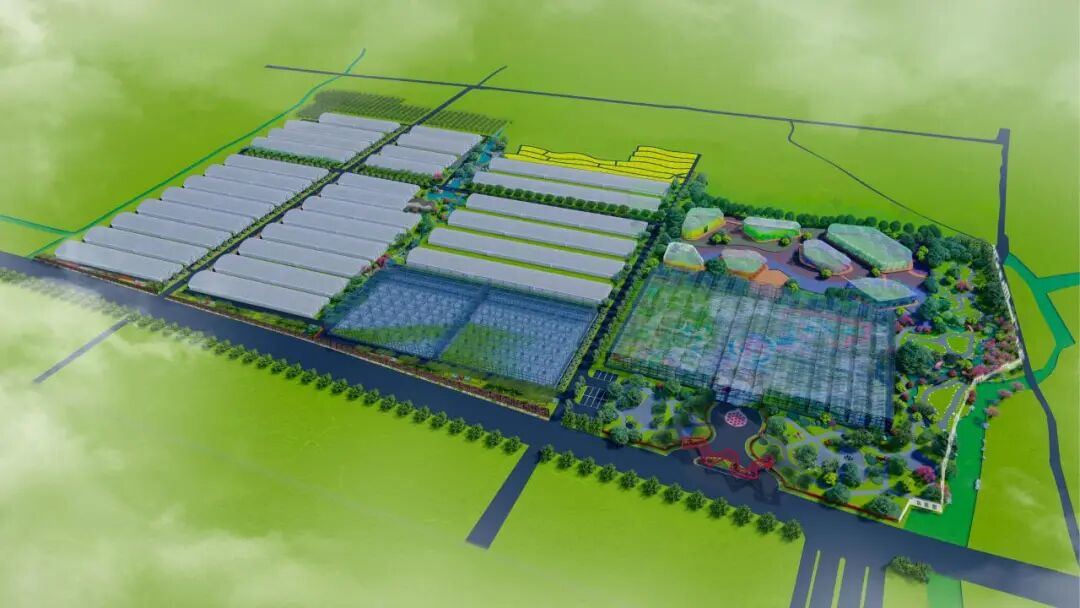 项目|枣庄市峄城区石榴智慧种植示范园-32