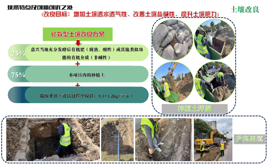 2024年度院优项目|嘉兴港区中央活力区道路景观设计实践——滨海盐碱地生态修复与城市美学融合的典范之作-16