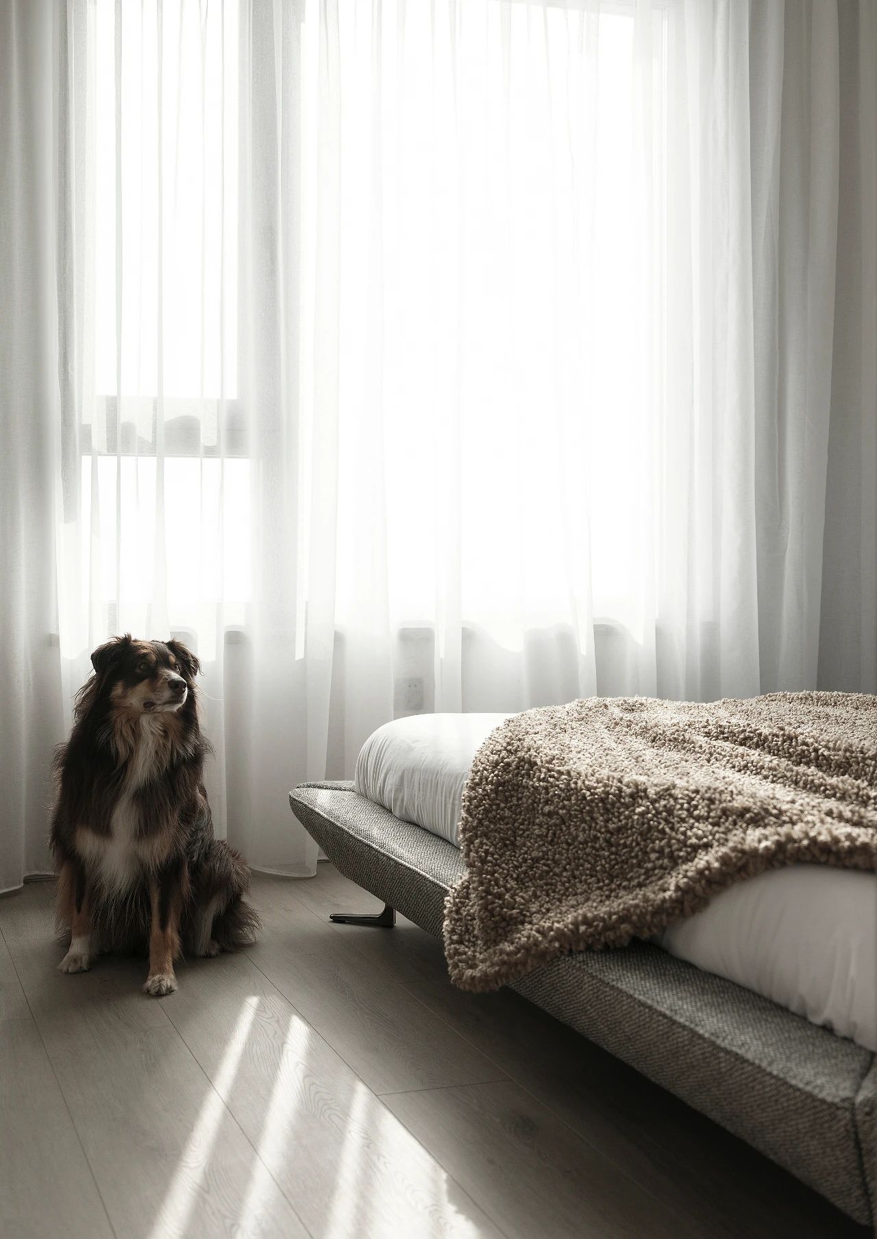 春华秋实丨中国金山丨庄启祥,林金花,关则杰-29