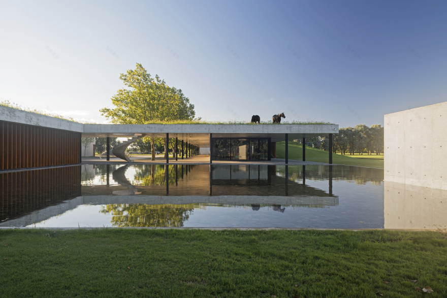 菲格拉斯马球马厩-47