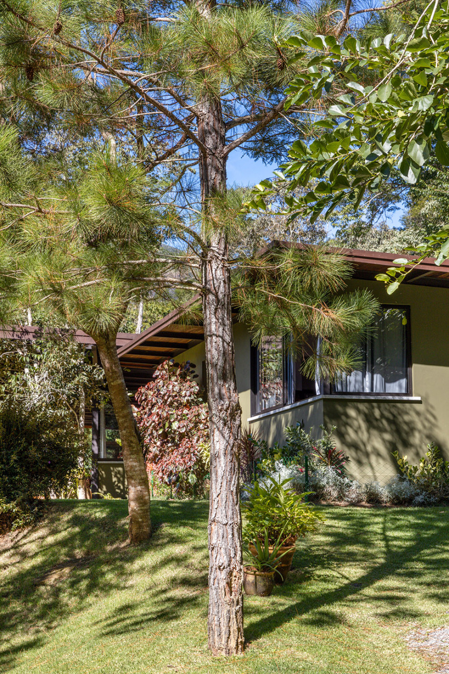 Videiras山谷中的住宅,巴西 / Rodrigo Simão Arquitetura-88