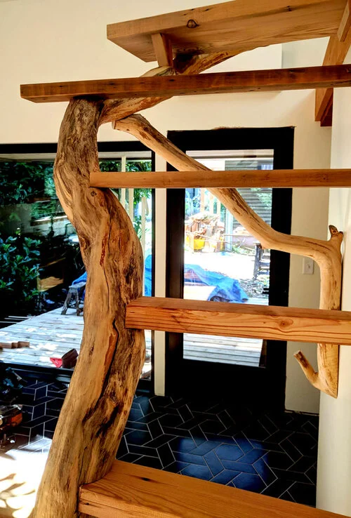 这里ST ADU可能是专业术语难以准确翻译，在缺乏确切背景信息的情况下，暂时无法提供准确翻译 丨美国波特兰丨Polyphon Architecture & Design,LLC-14