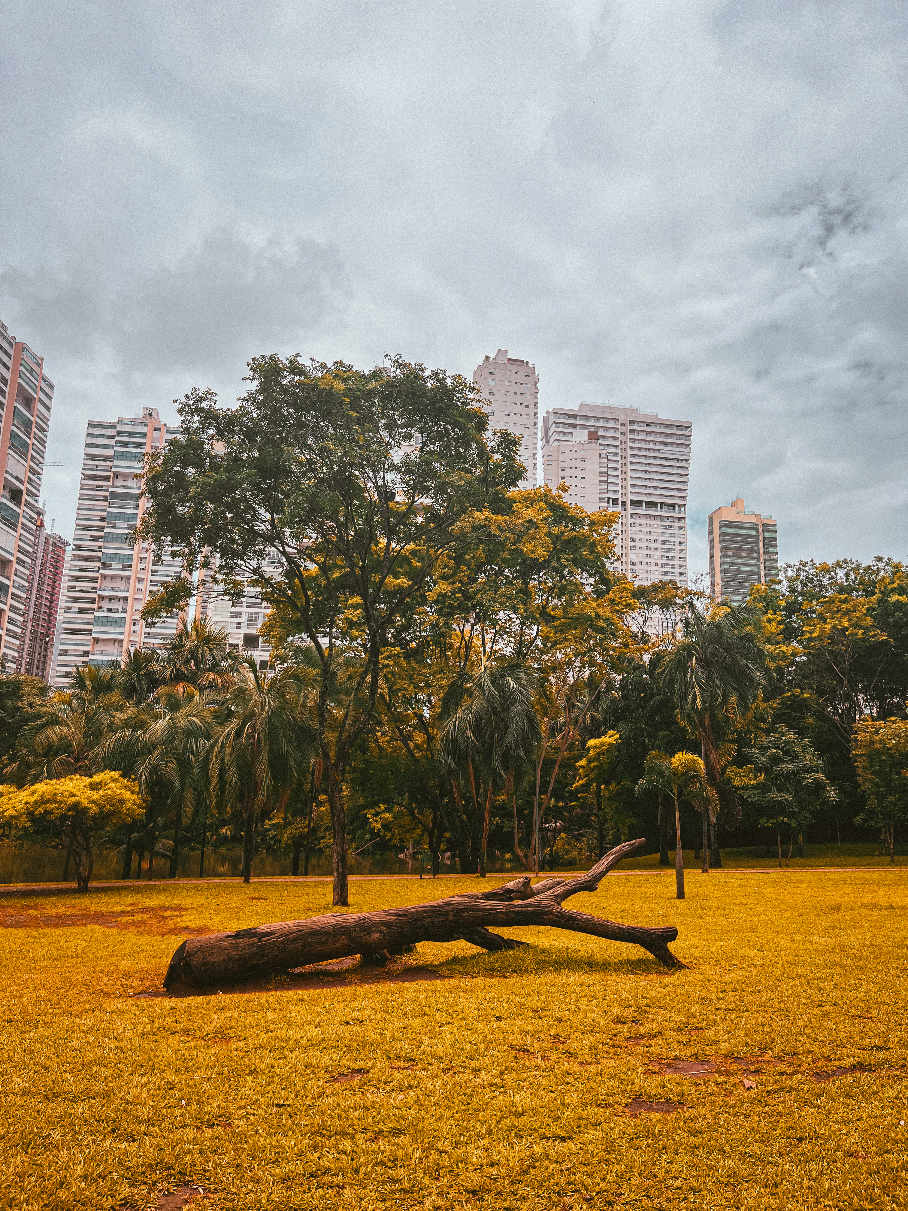 Urban Atmospheres #01 (Day) | Cityscape Photos-1