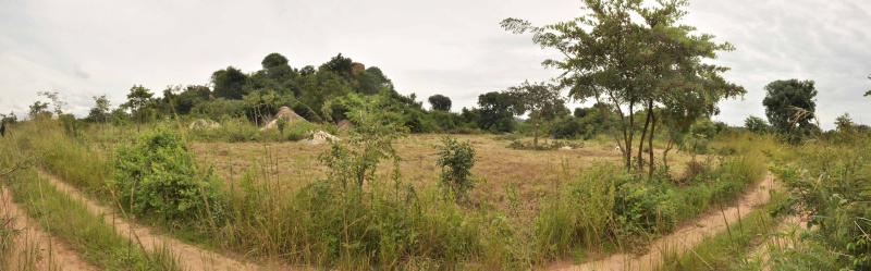 丨ZimbabweHarare丨Kristina Ziadeh（与当地工匠合作）-51