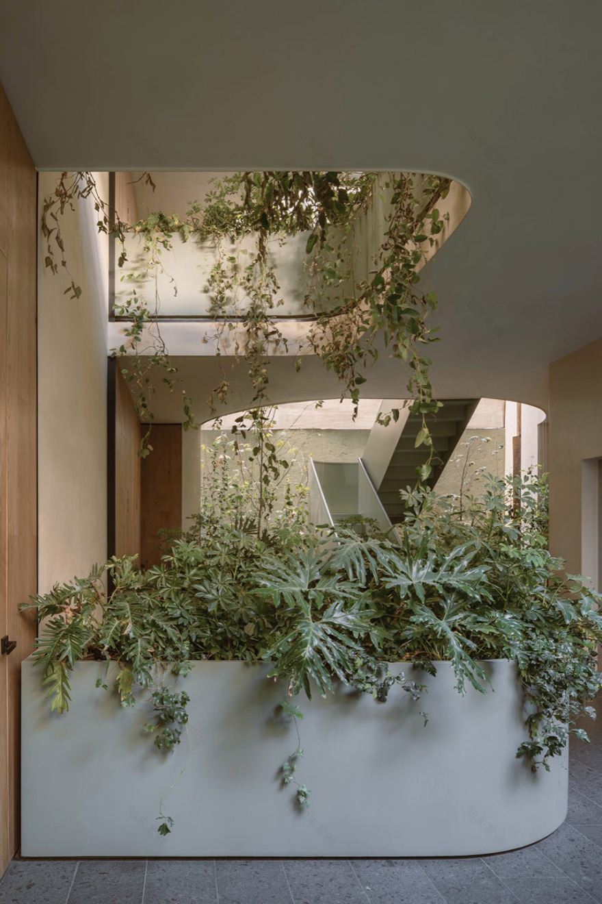 ONTO Álvaro Obregón住宅大楼丨墨西哥墨西哥城丨CRB Arquitectos-46