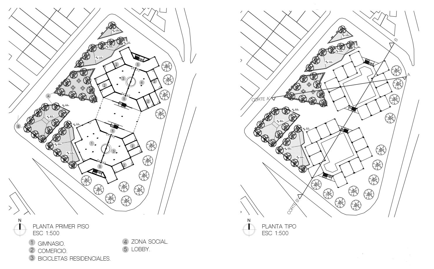 组装苹果项目丨哥伦比亚-15