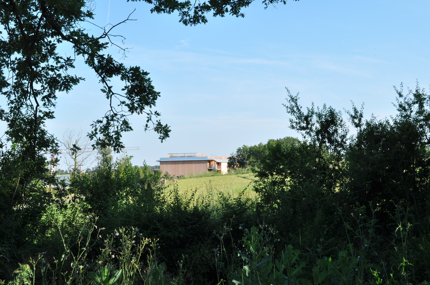 法国欧莱雅感官公寓丨法国图卢兹丨Yves Ballot et Nathalie Franck-8