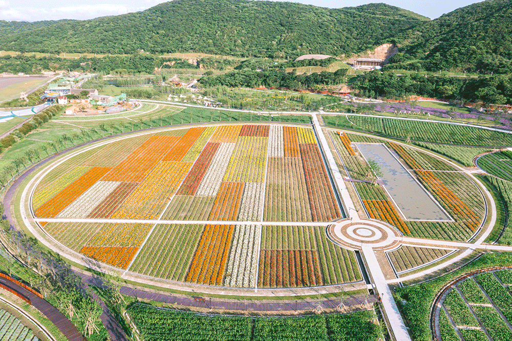 岱山东海郊野公园丨中国舟山-23