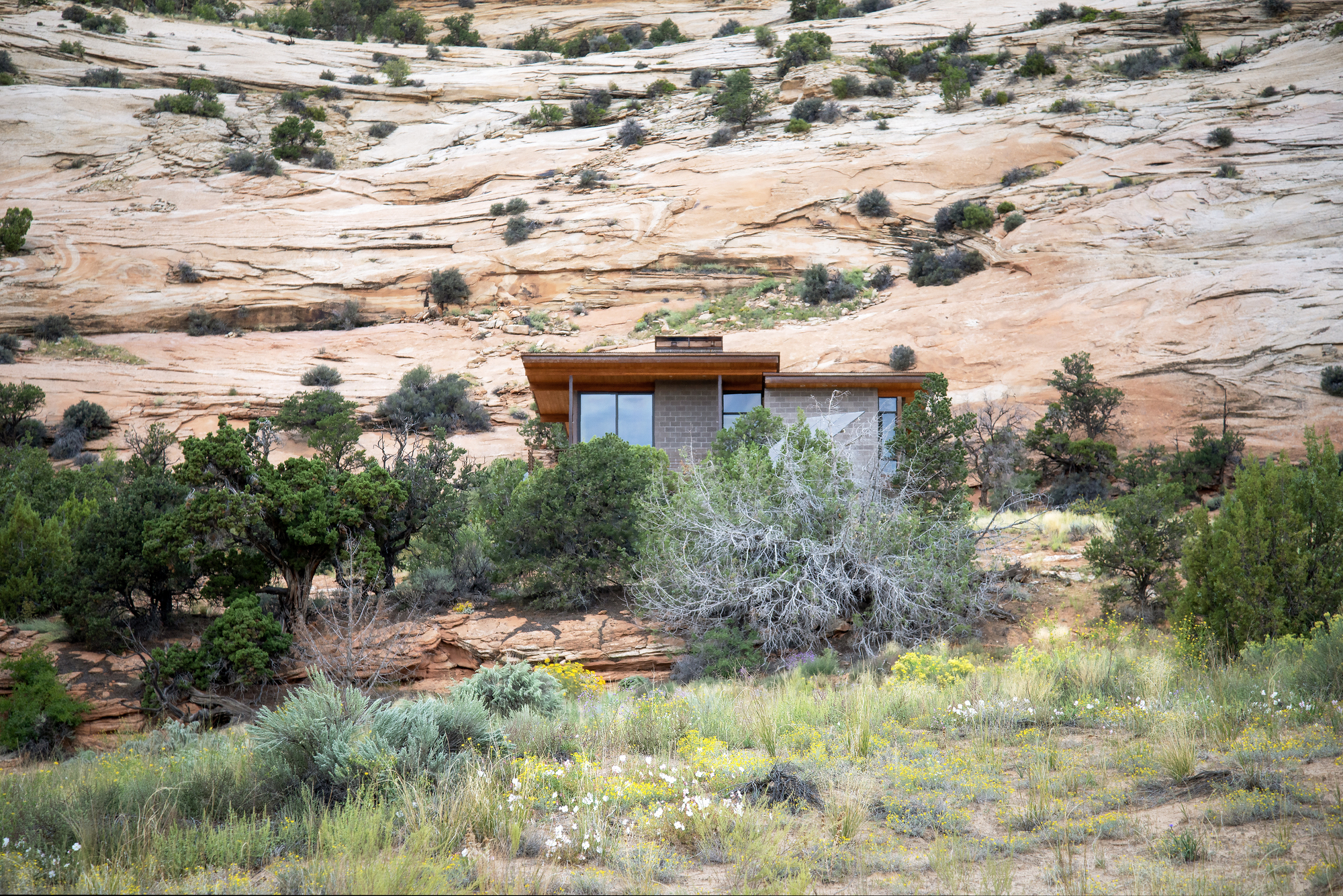 埃斯卡兰蒂静居处丨美国丨Imbue Design-13