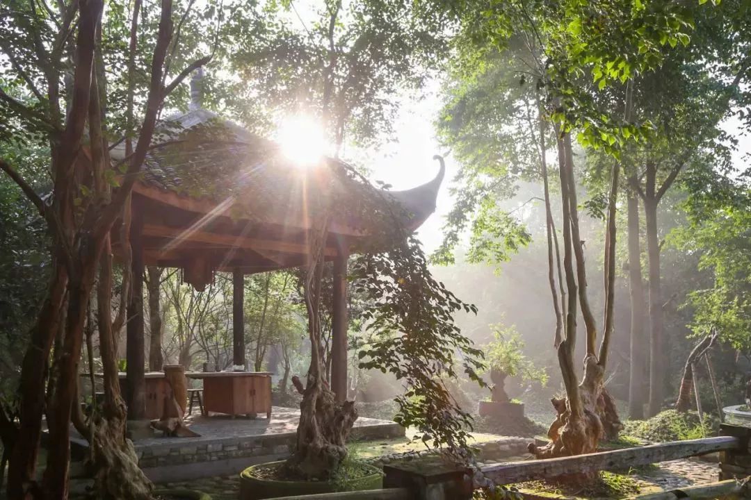 废弃庄园变鹭鸟天堂 | 400㎡中式宅院与 30 亩森林的共生设计-110