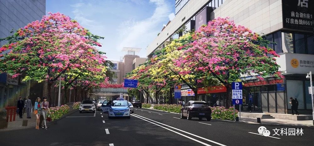 深圳南山区市政道路行道树补植工程设计-7