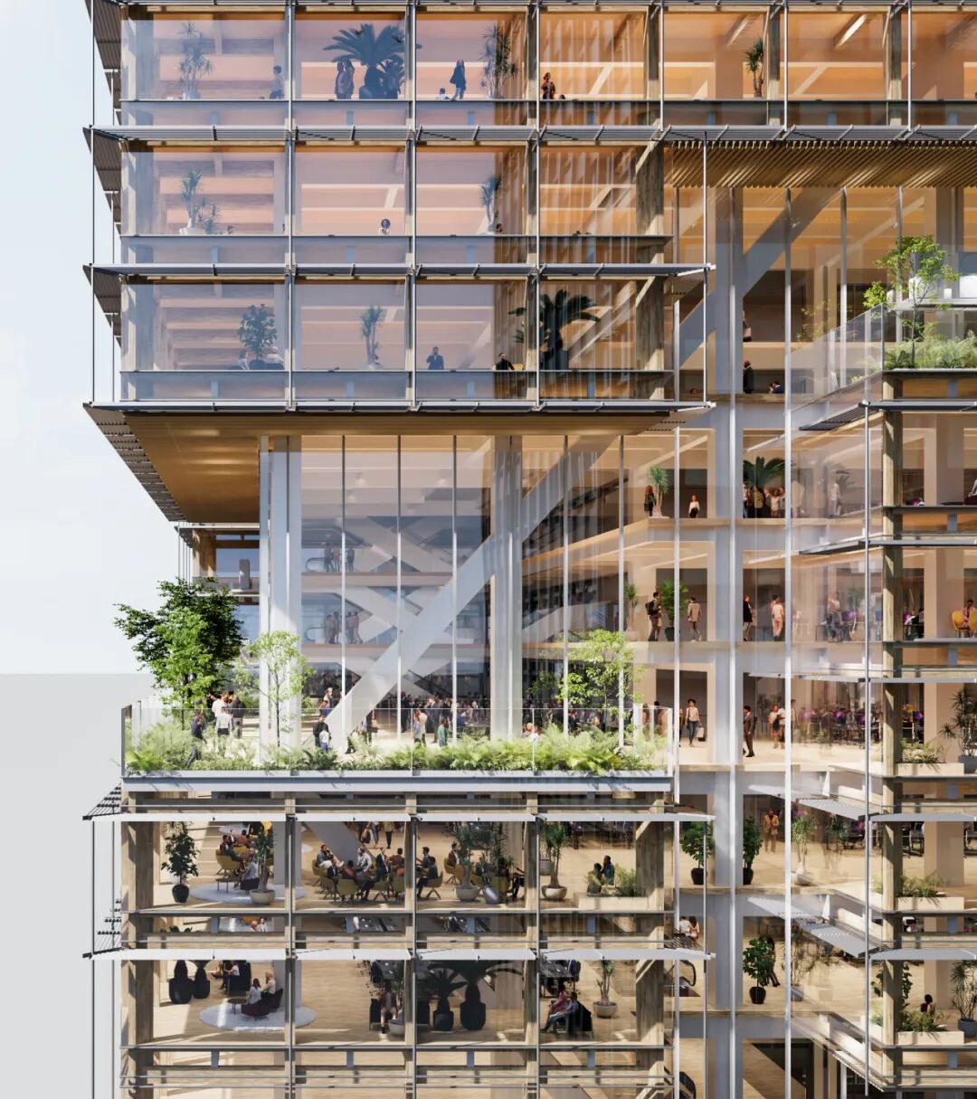 再生树（Regenerative Tree）丨日本东京丨株式会社日建设计-14