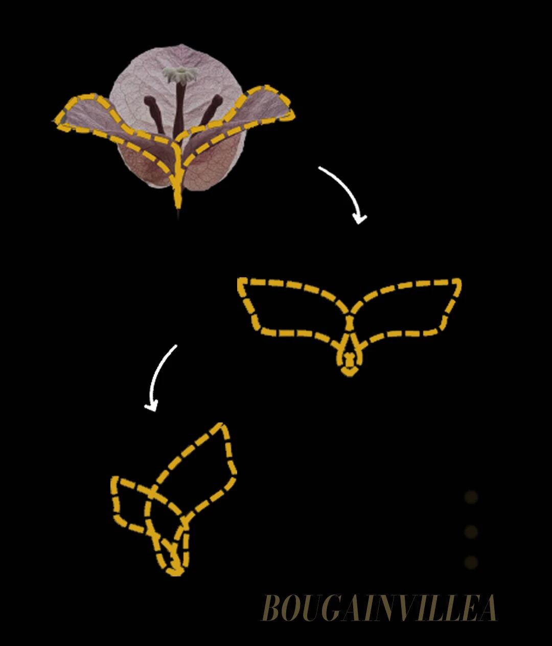 OESD × 深业·上林苑会所丨OE设计团队（欧镱设计）-18