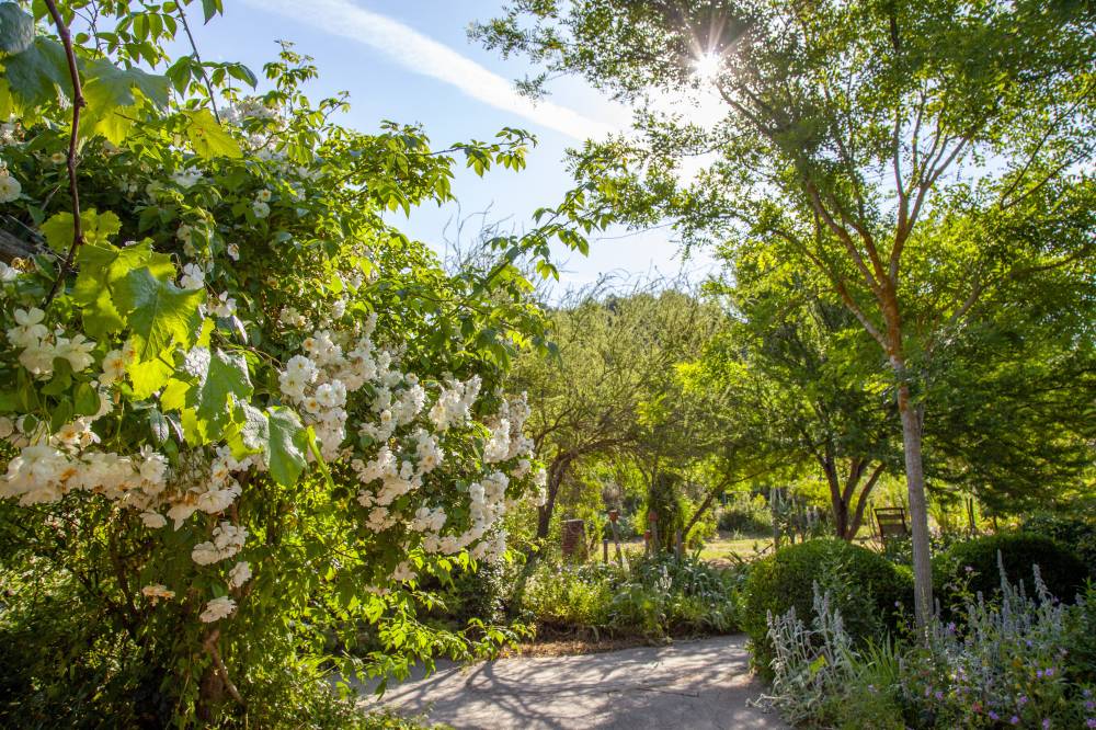 The Gardens of the International Perfumery Museum - France-14