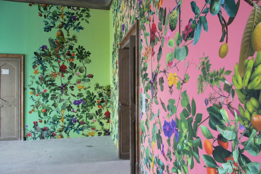 第十二届宣言展:行星花园:培育共存-51