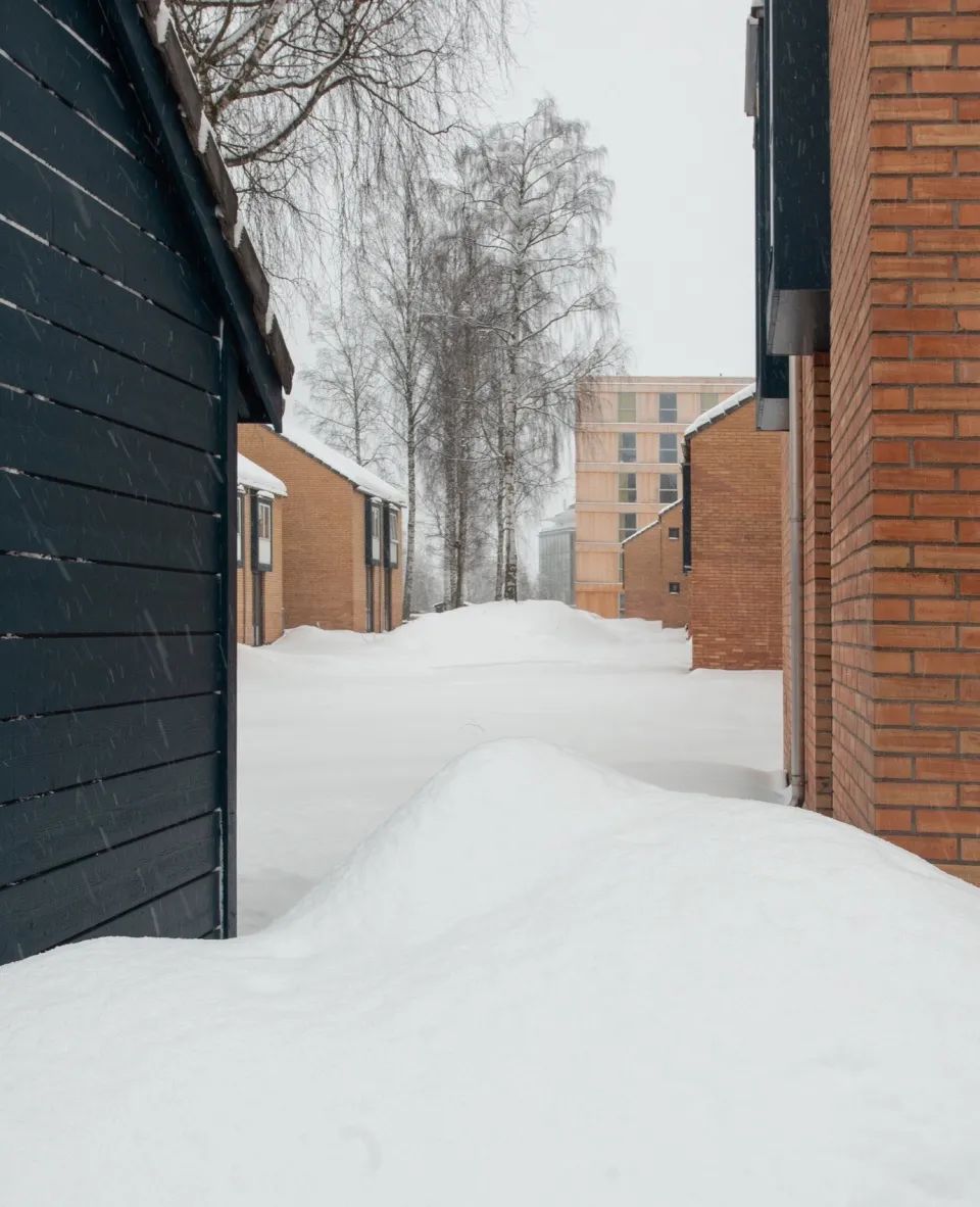 Kallerud学生公寓：模块化木结构住宅-59