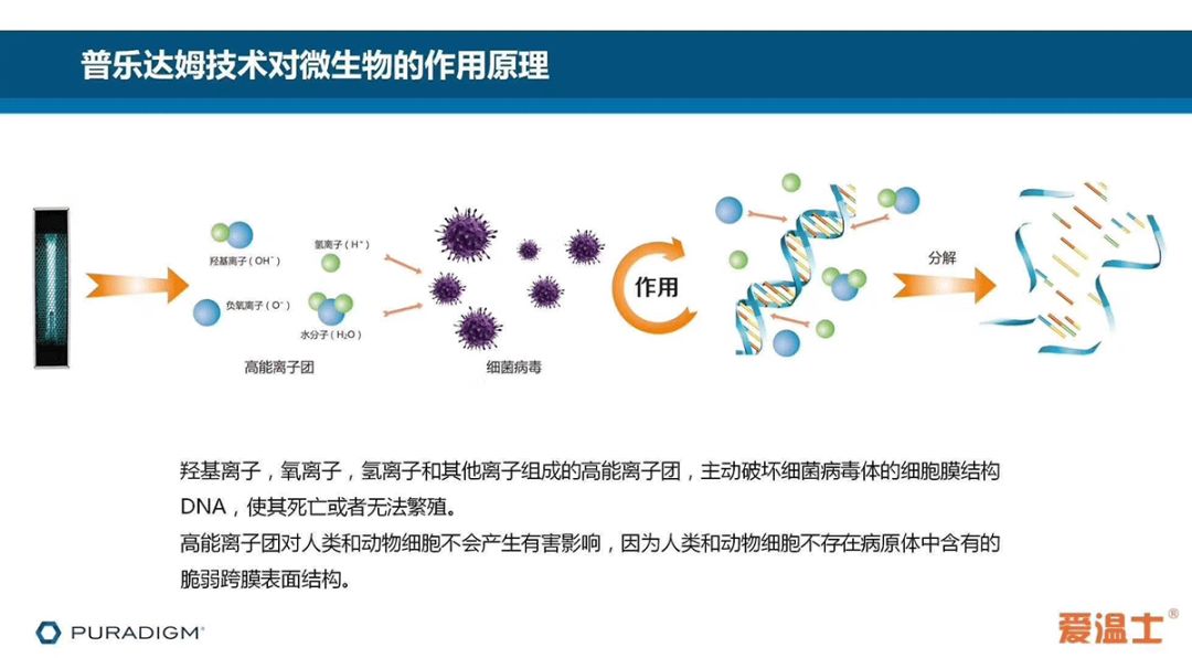 逆行英雄的守护者——晓安设计抗疫公益活动-28