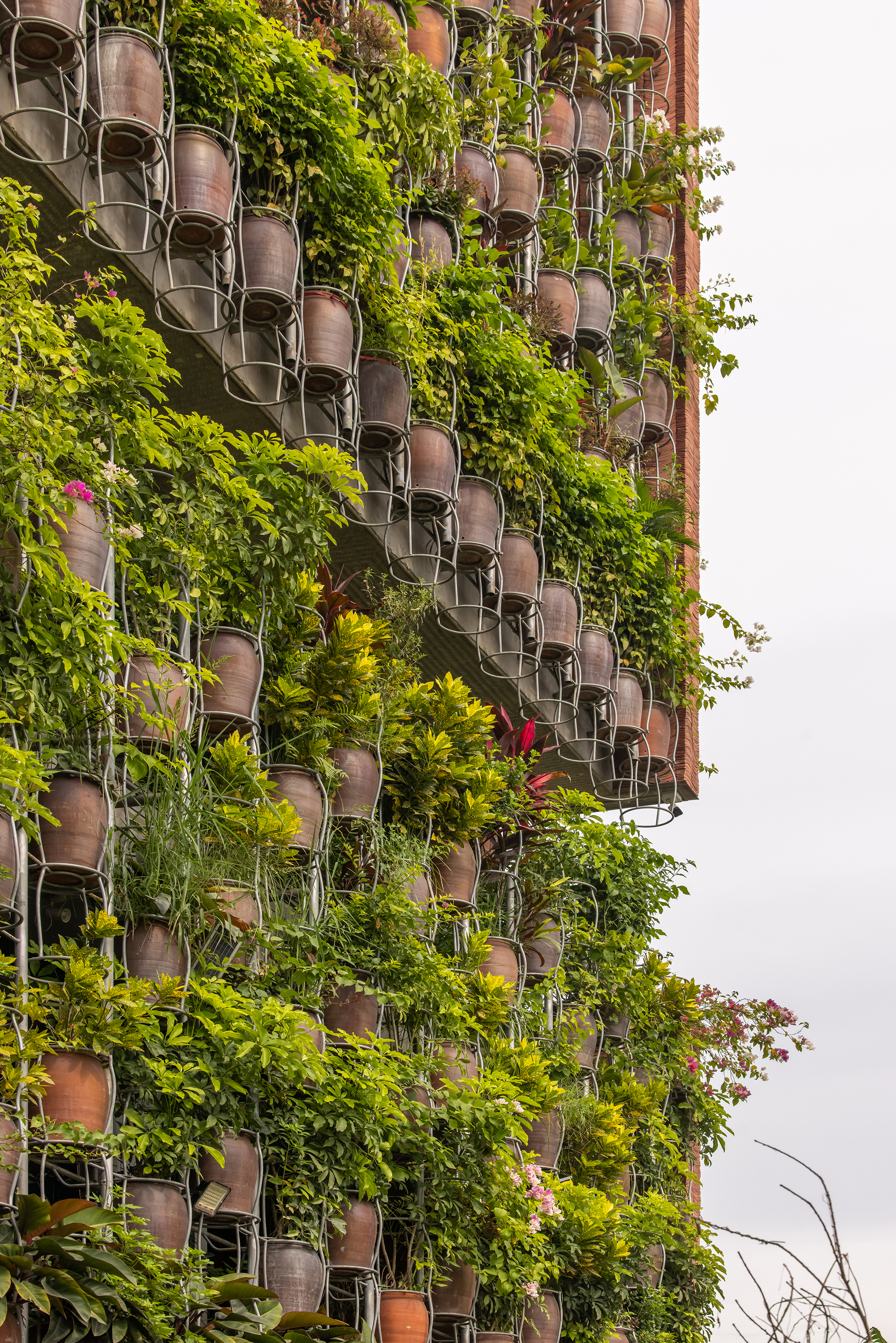 飞行植被丨H&P Architects-31
