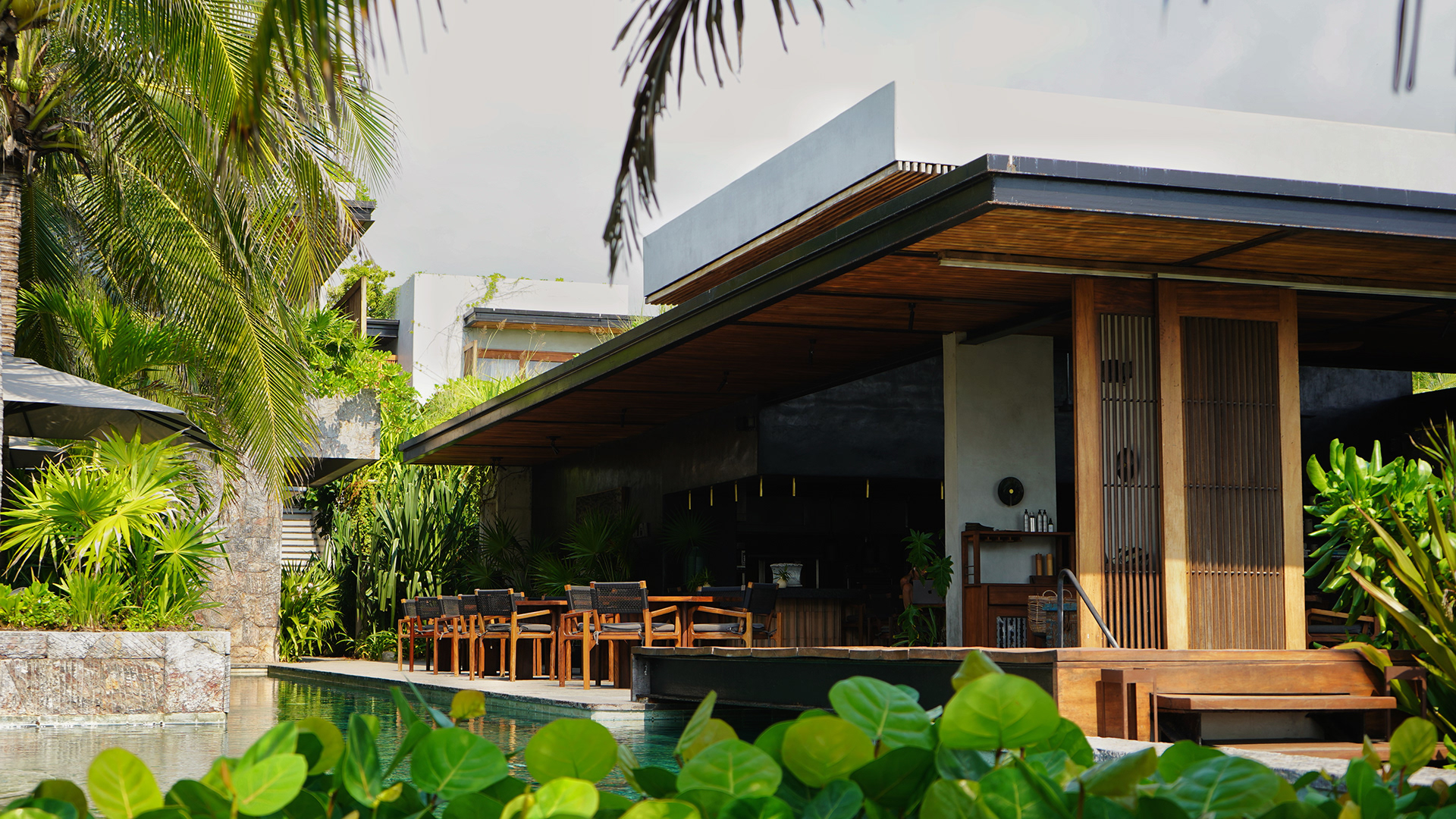 MUSA [Modern Utopian Society of Adventurers]-1