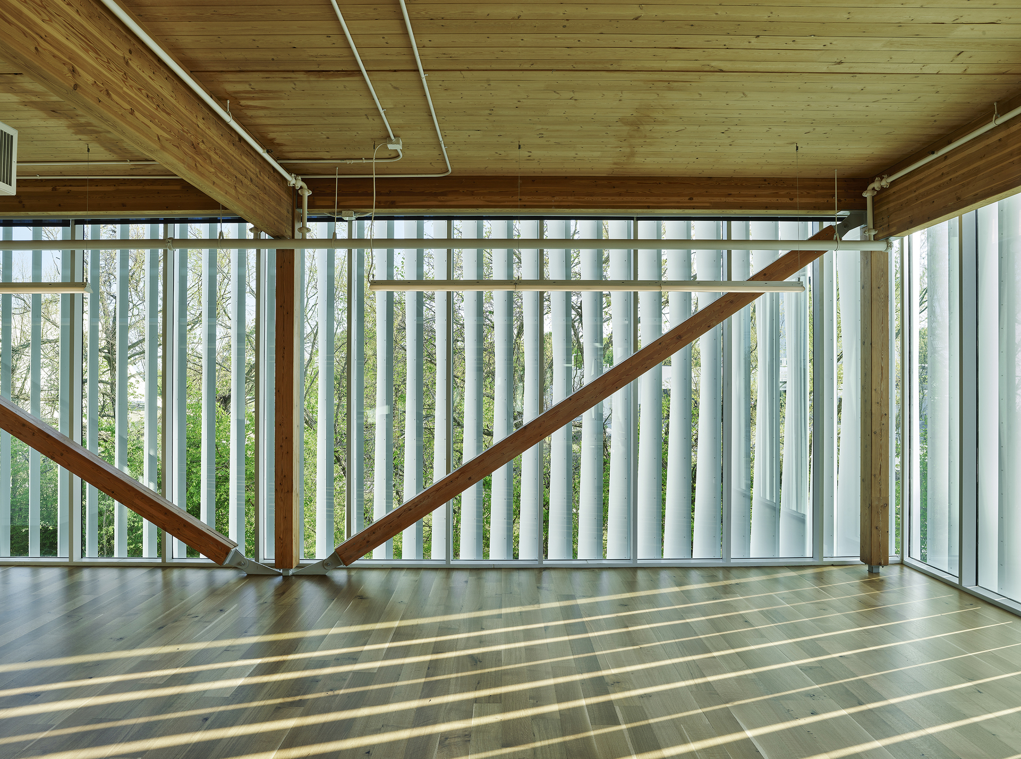 绿道办公园区改造设计丨美国阿肯色-10