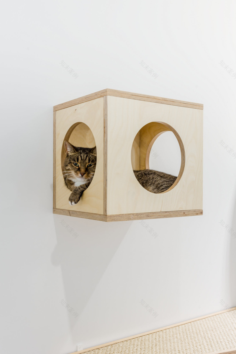 火星办公室 - 莫斯科-22