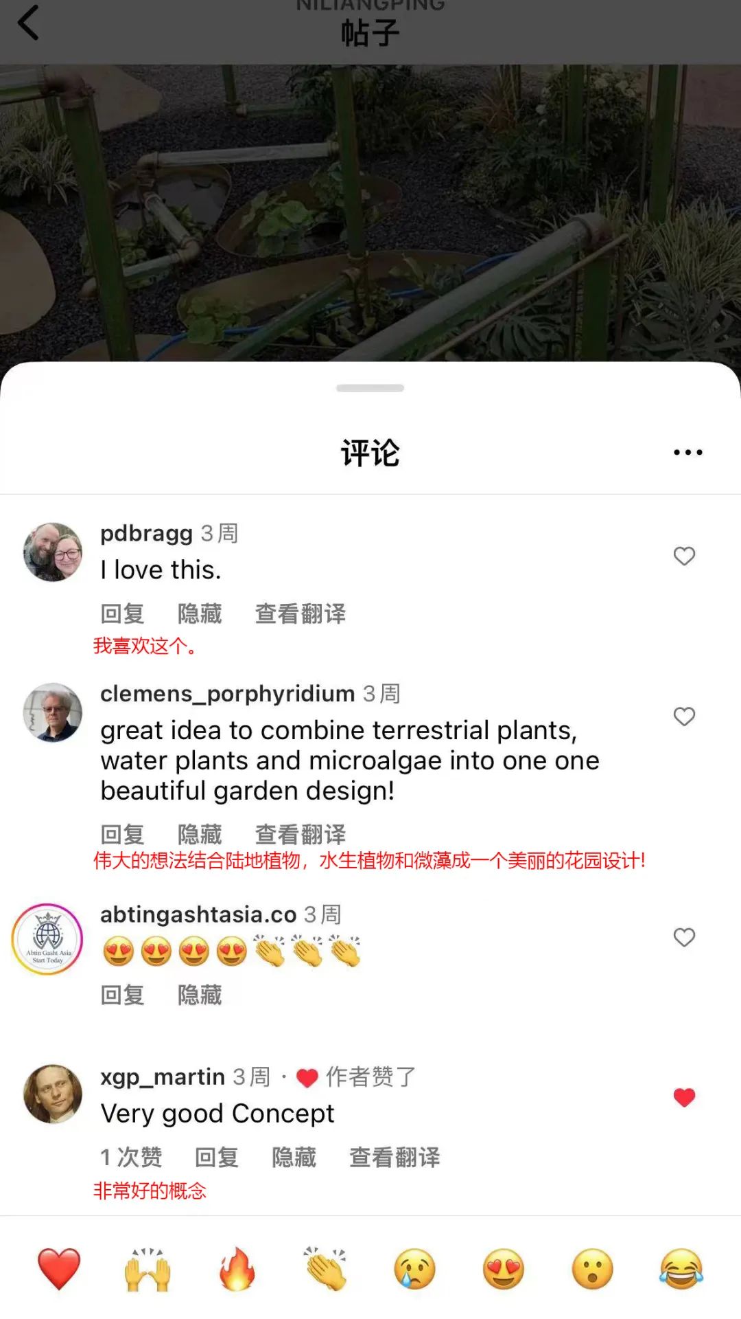 微藻实验花园：景观设计中的绿色新篇章-103