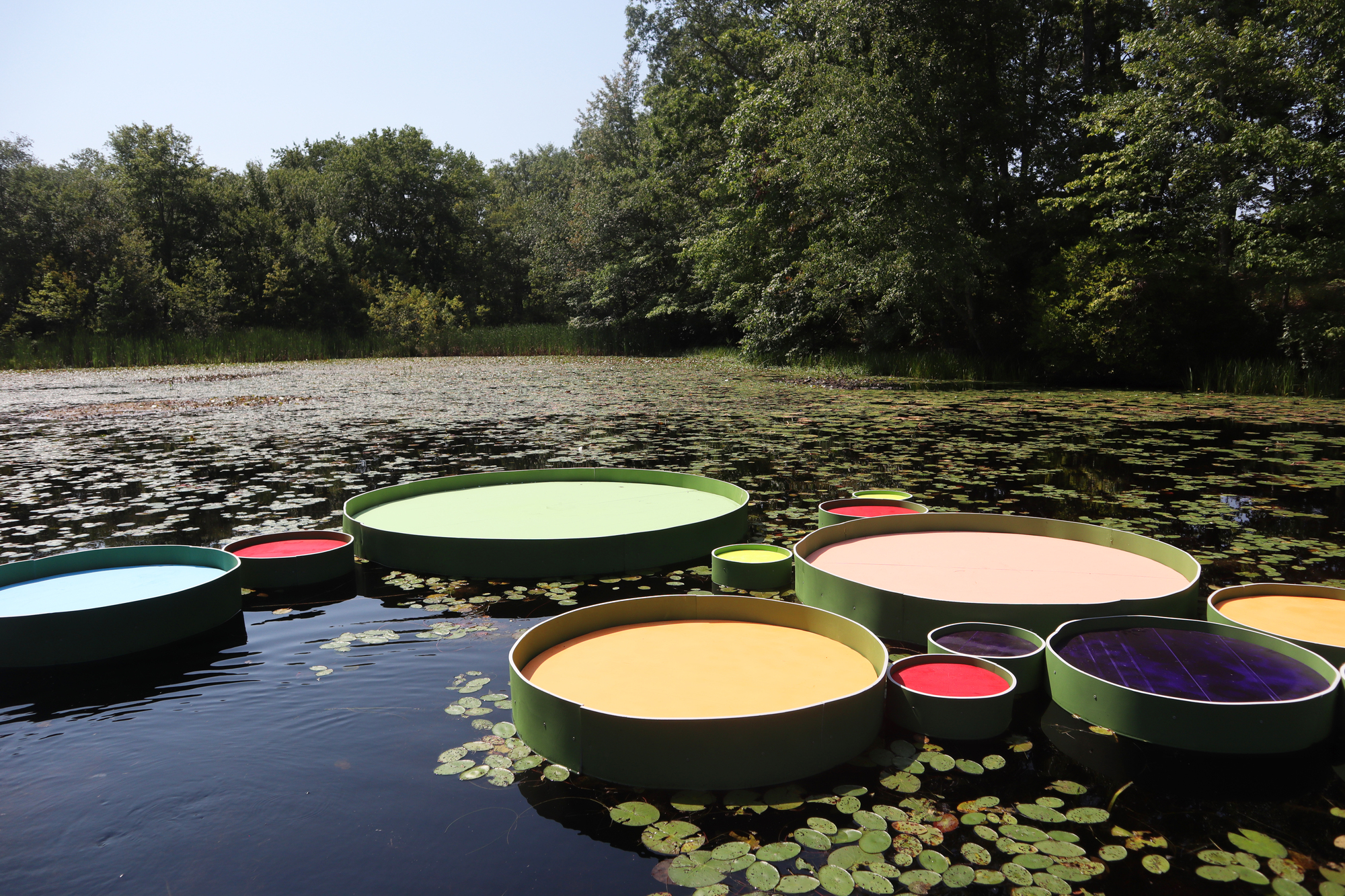 百合项目丨美国丨Jaemee Studio-19