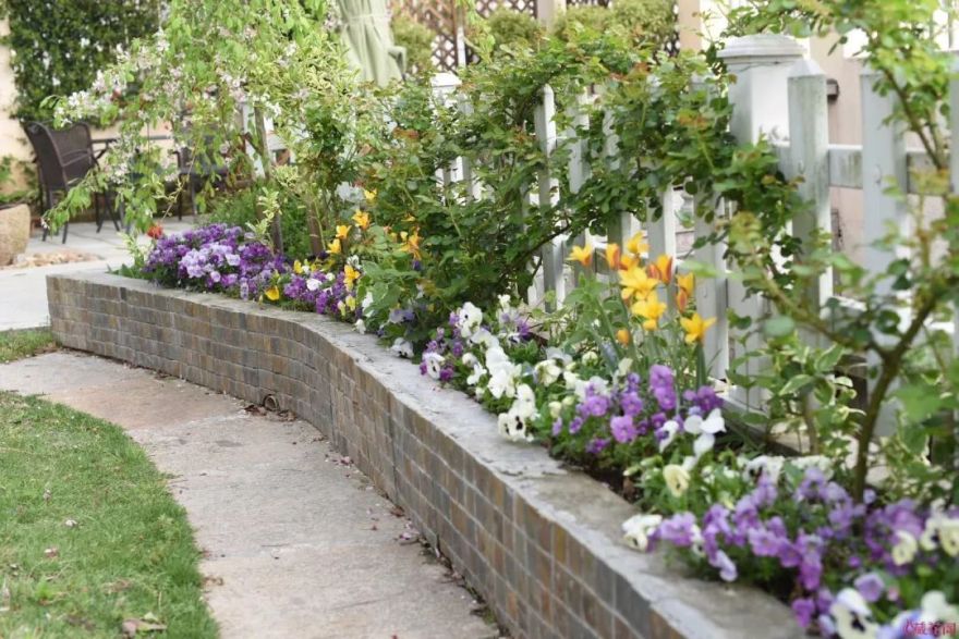 78岁爷爷改造荒废院子,为孙女建起一座花园-138