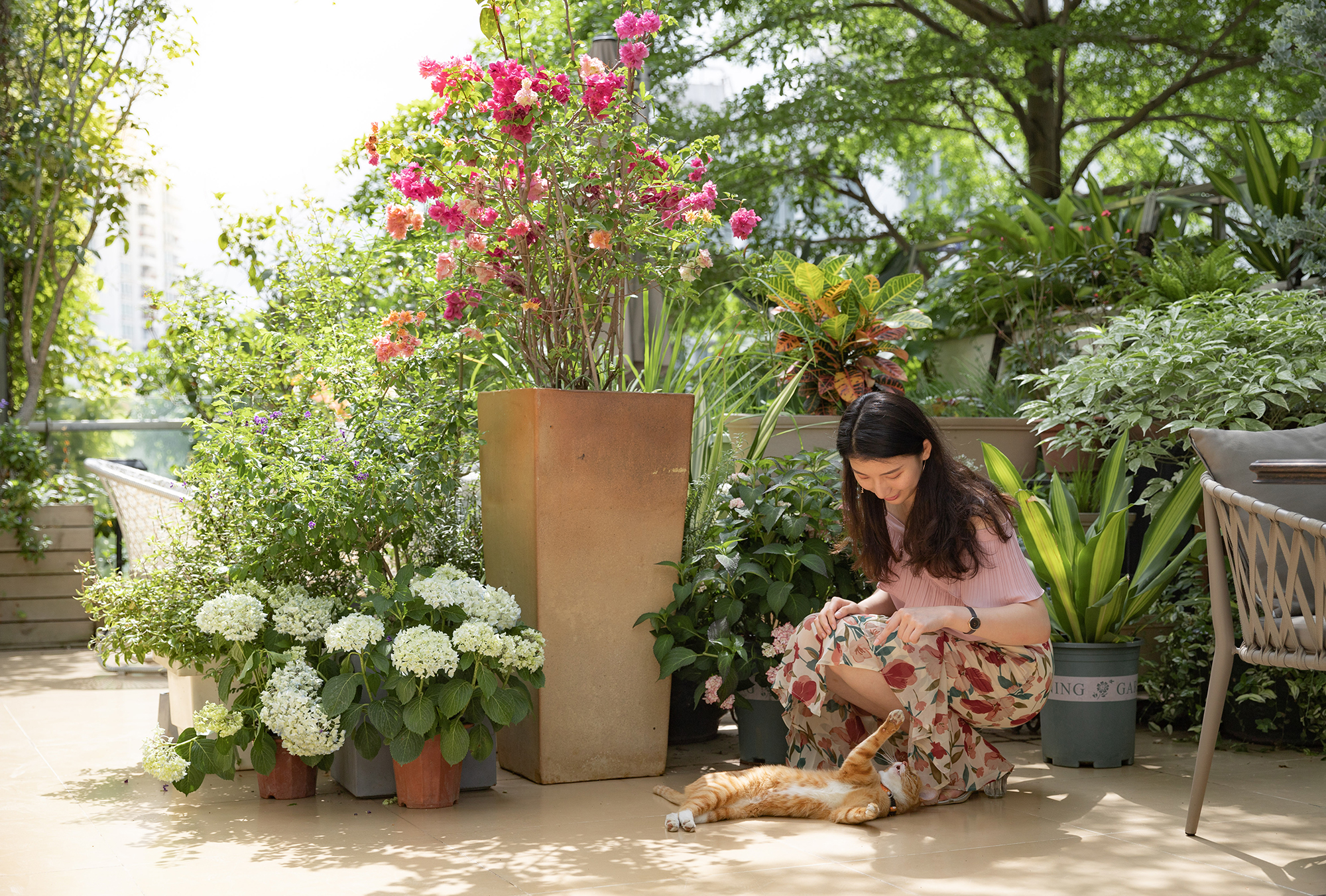 深圳南海意库5号楼屋顶花园-27