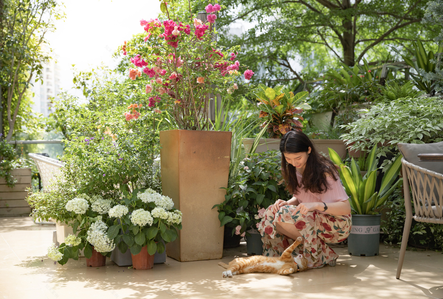 深圳南海意库5号楼屋顶花园-27