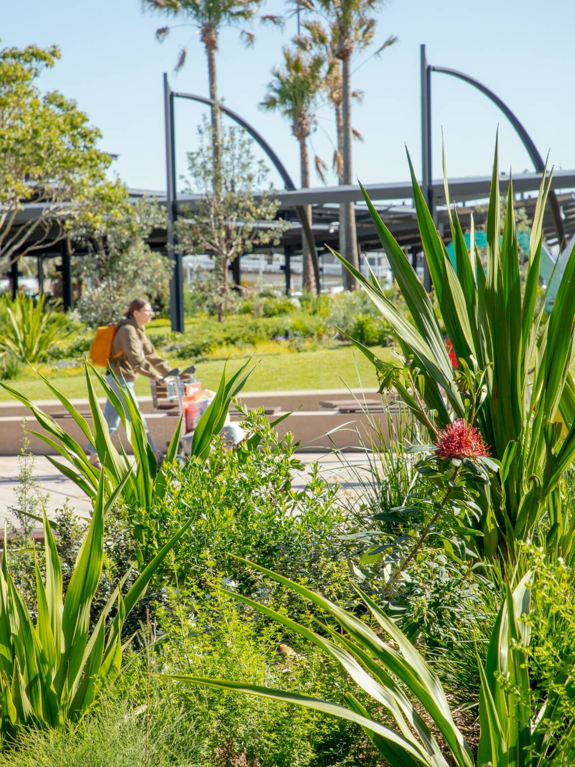 Sydney Airport International Forecourt - Hassell | IndesignLive-3