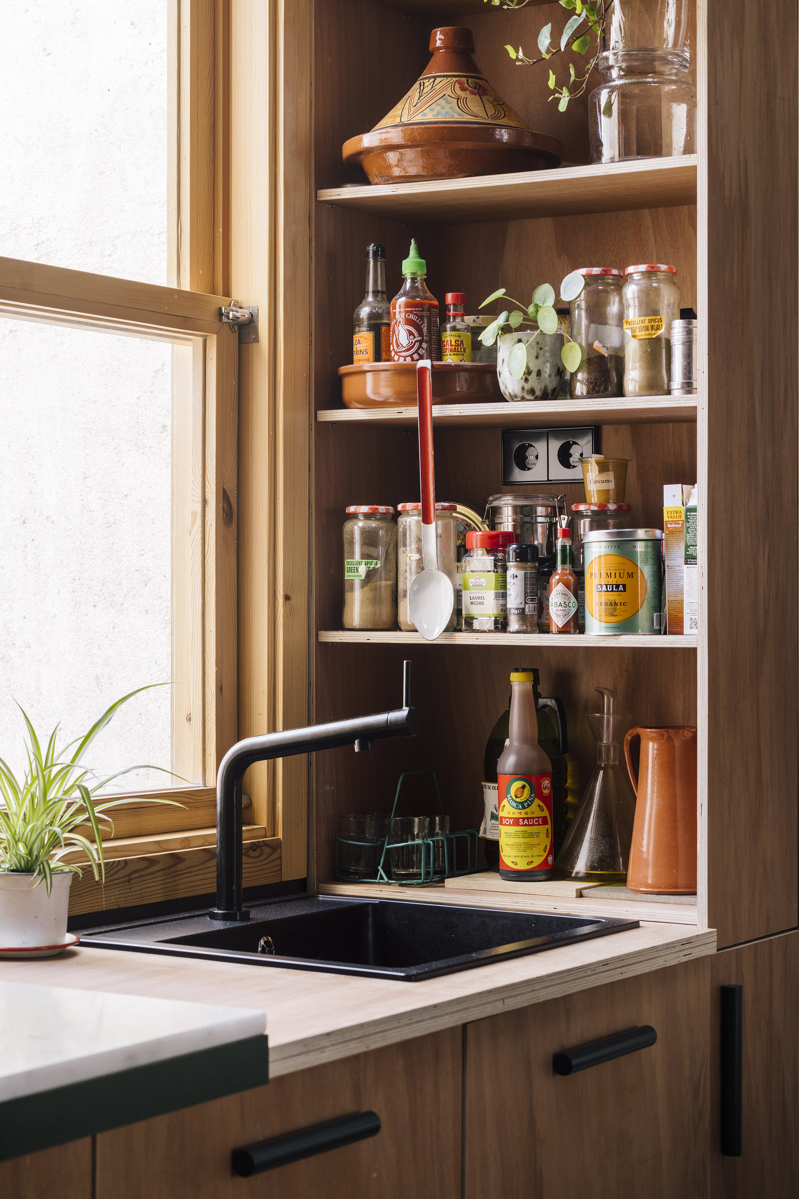 树上的公寓 · Mariana de Delás 的“生长屋”设计-11