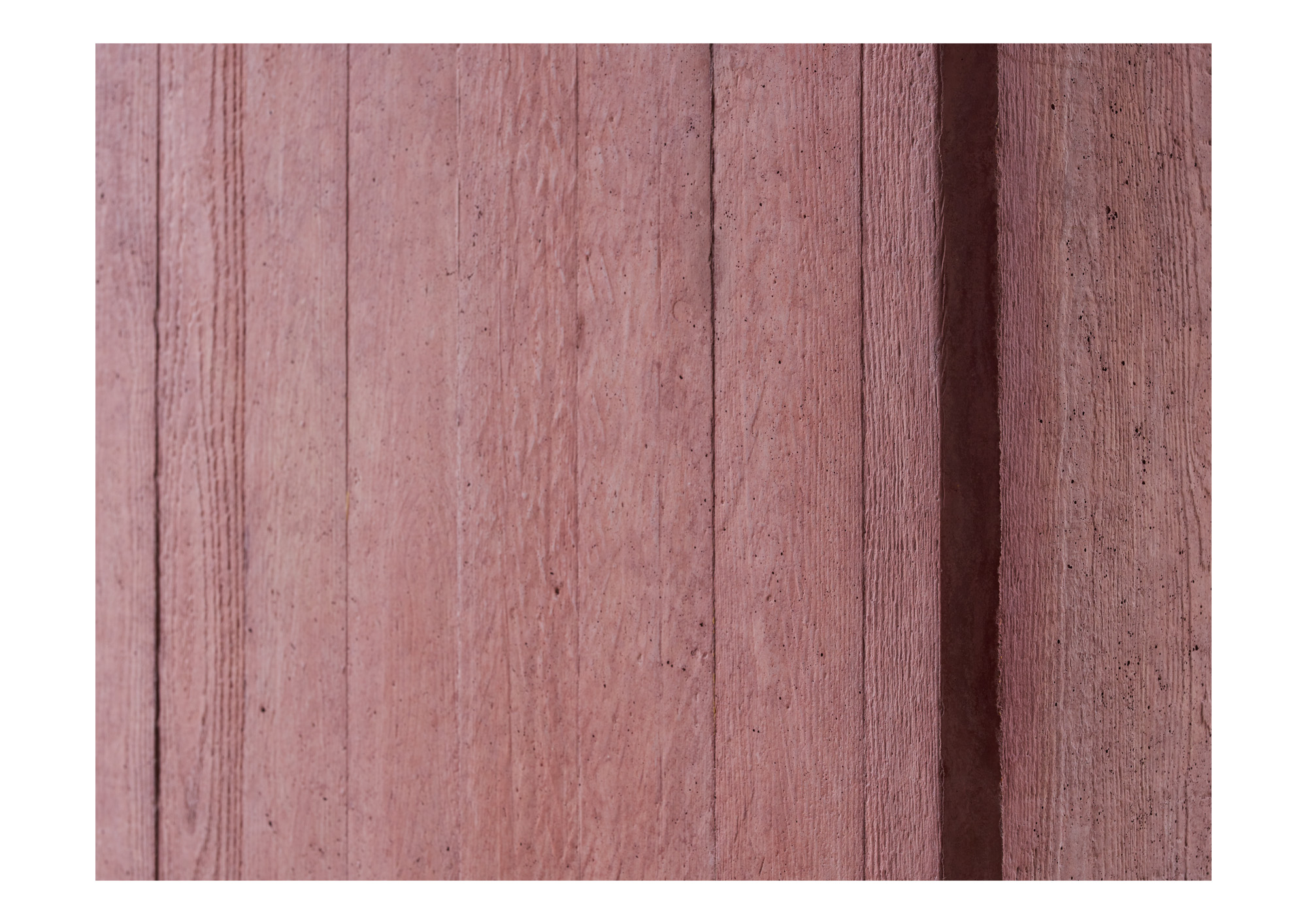 霍默顿学院餐厅丨Feilden Fowles Architects-4