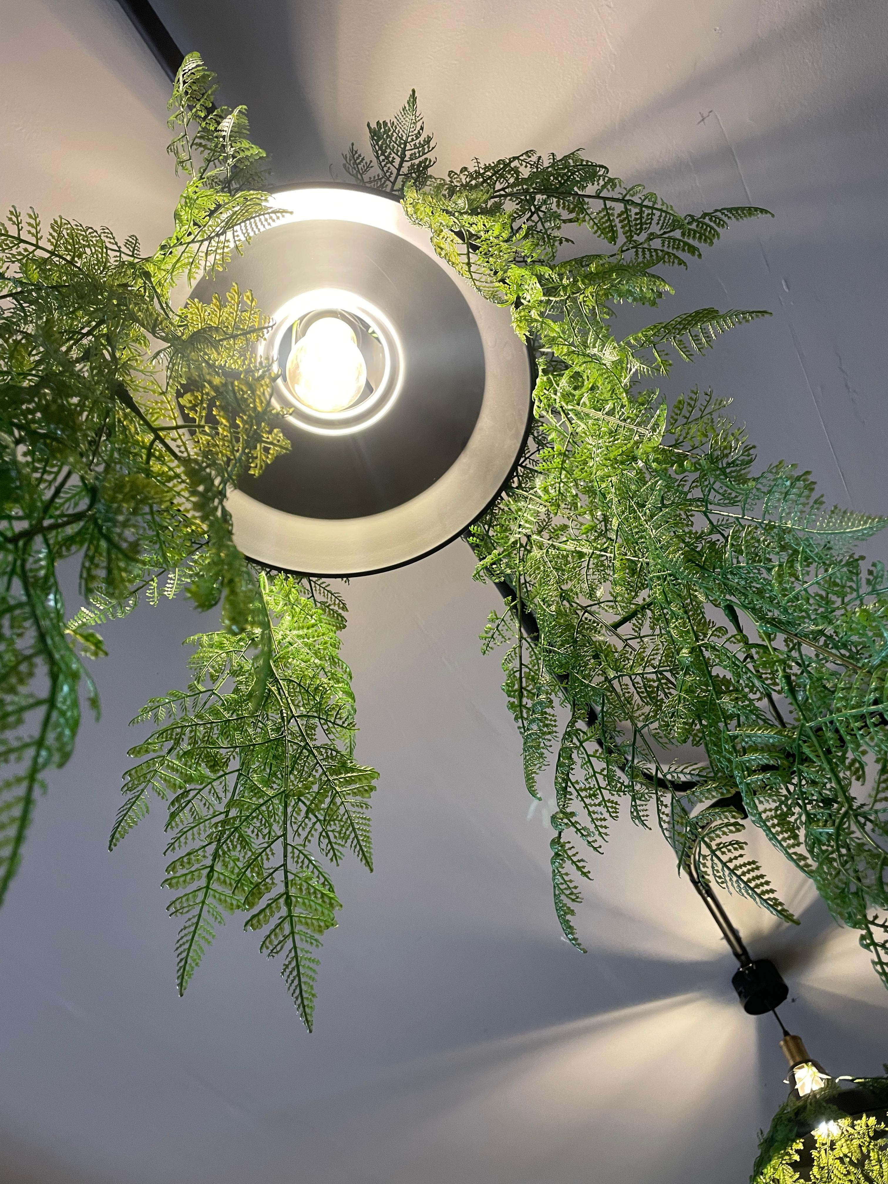 Taglio Miraflores 2025-3