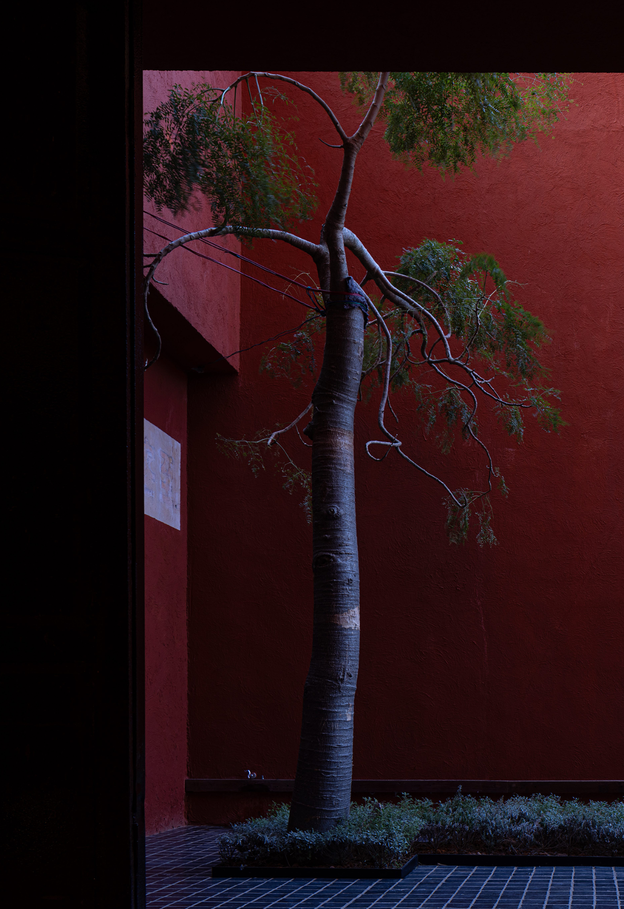 福建摆岁Bersure博物馆海景酒店丨中国福建丨蜚声设计-12