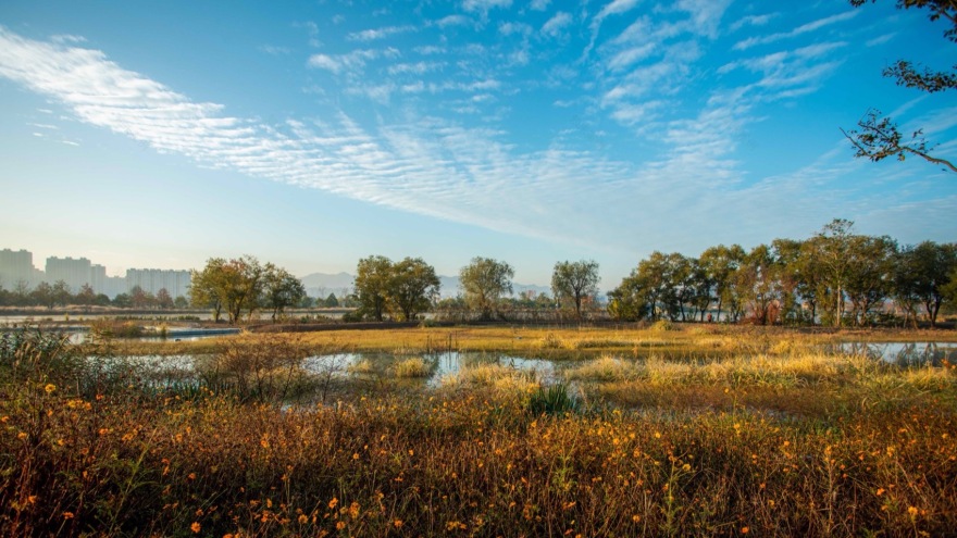 杭州富阳阳陂湖生态修复治理项目(一期)丨中国杭州丨中国电建集团华东勘测设计研究院有限公司,汉嘉设计集团股份有限公司-55