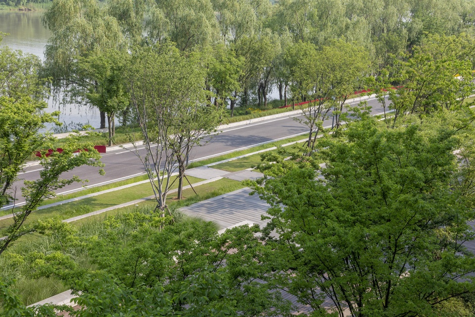 江岛新天地丨CLD会筑景观-52