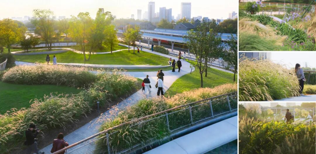 ASLA获奖作品 连接过去和未来的城市绿洲——嘉兴火车站景丨中国嘉兴丨致舍景观-111