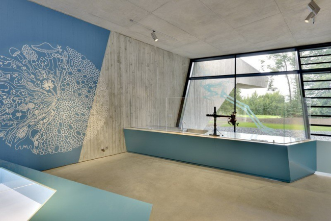 梅塞尔采石场游客中心丨德国-57