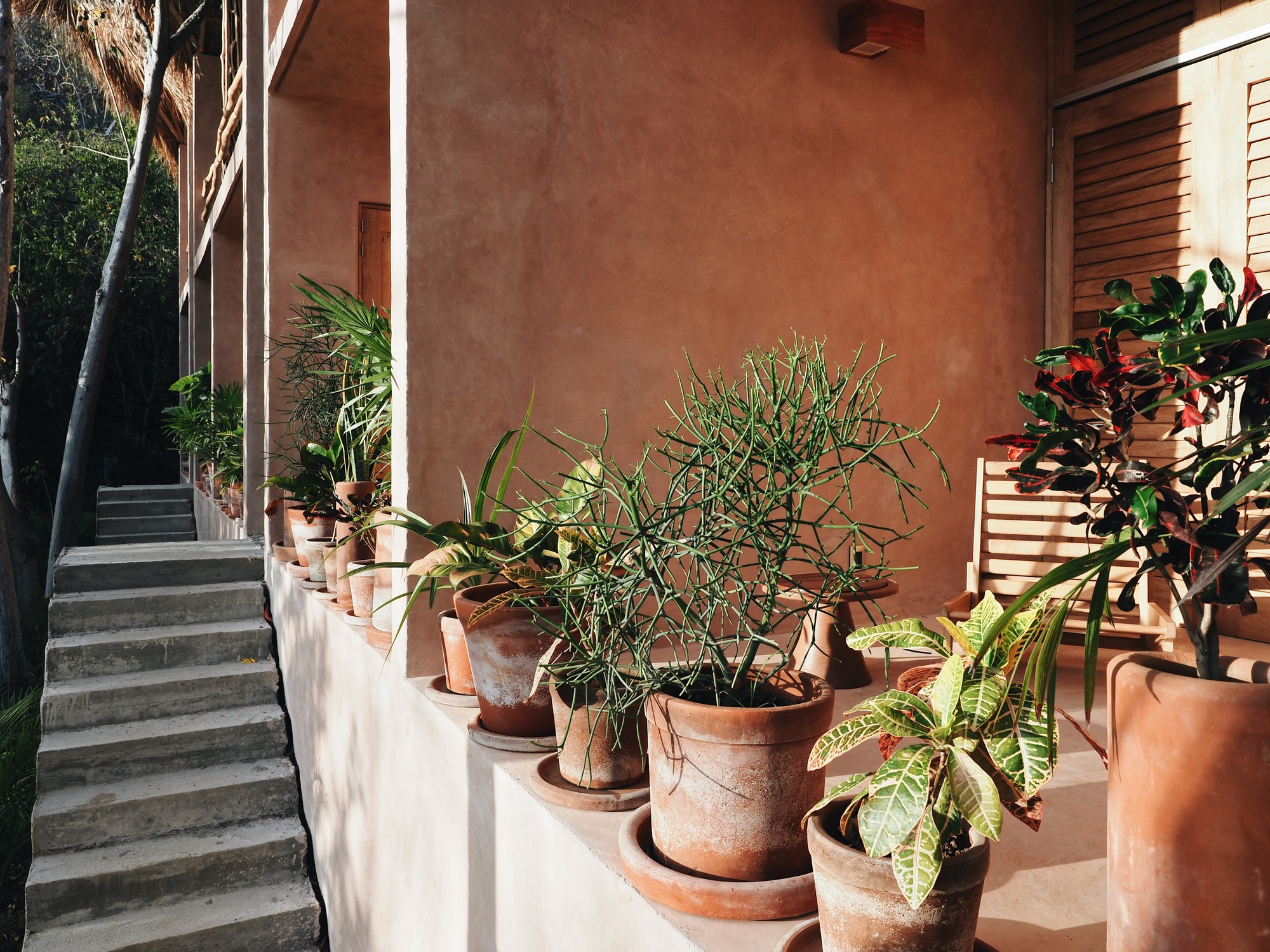 Monte Uzulu Hotel / At-te + Taller LU'UM-41