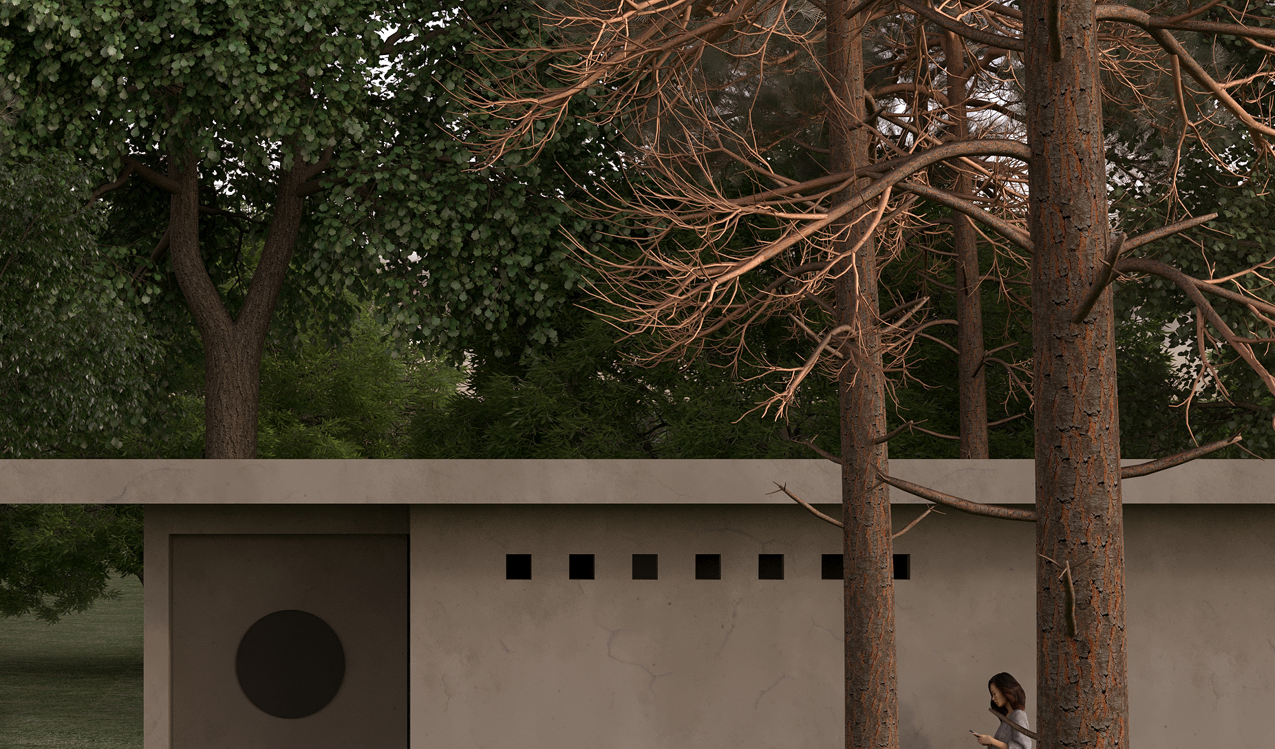 树林中的个性厕所-11